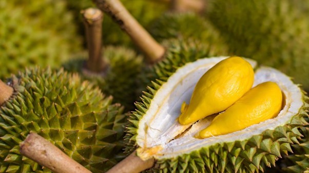Boleh ke makan durian banyak sangat?